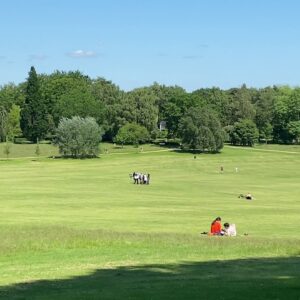 Rundbold og Sandwich i Mindeparken